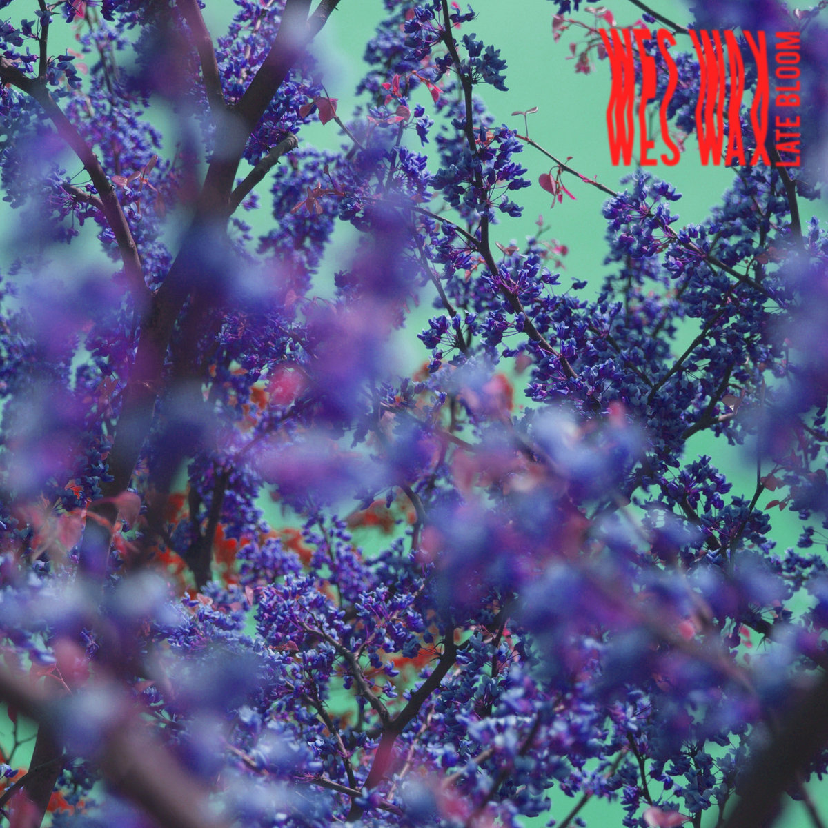 Late Bloom cover art